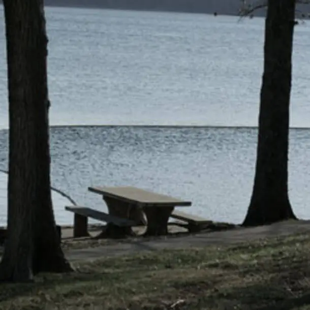 campground picnic table